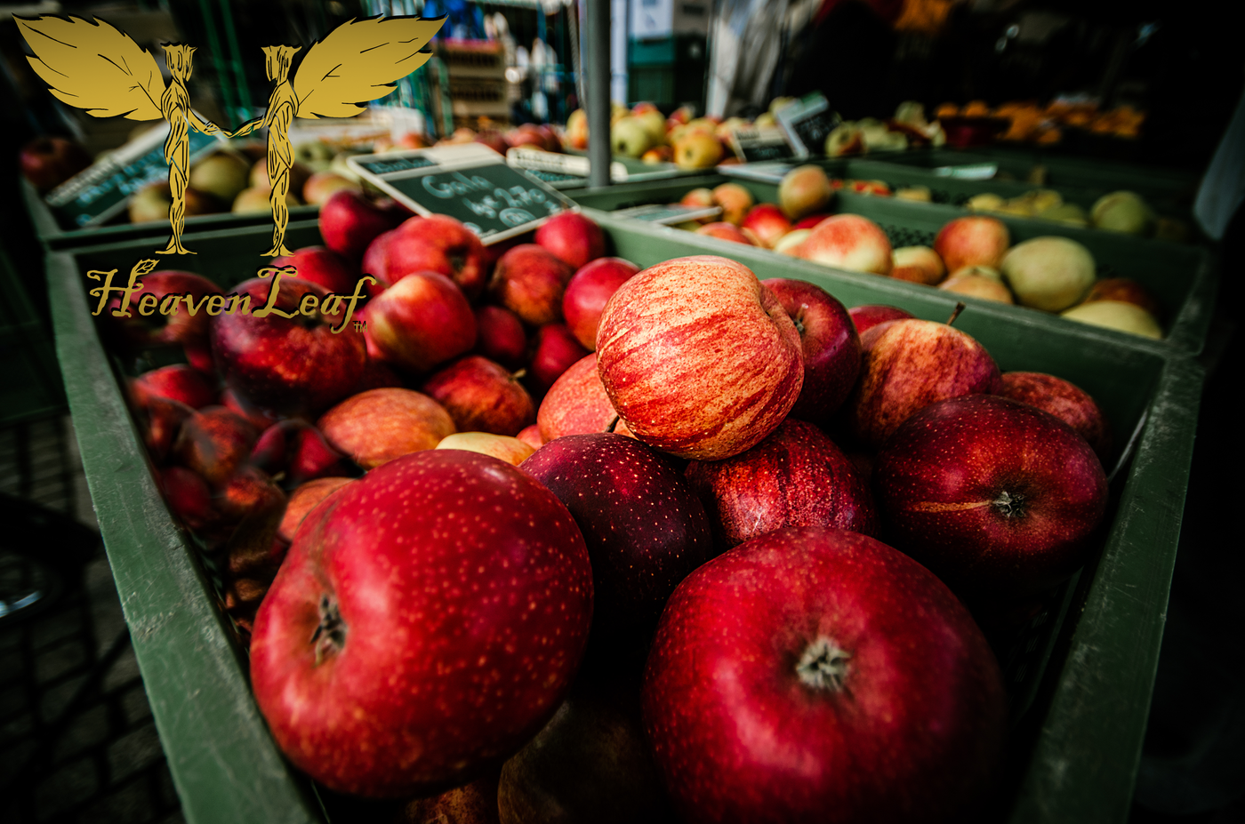 HeavenLeaf Apple